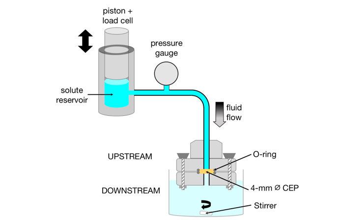 FIG1-rev1-loading-device-sampson-jbiomech